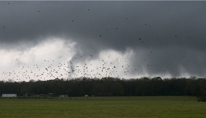 Severe storms, tornadoes possible across the Deep South