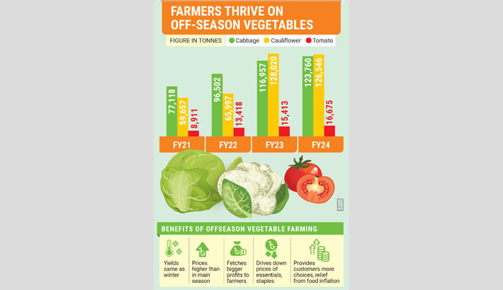 Handsome profit increases summer cabbage, cauliflower, tomato cultivation