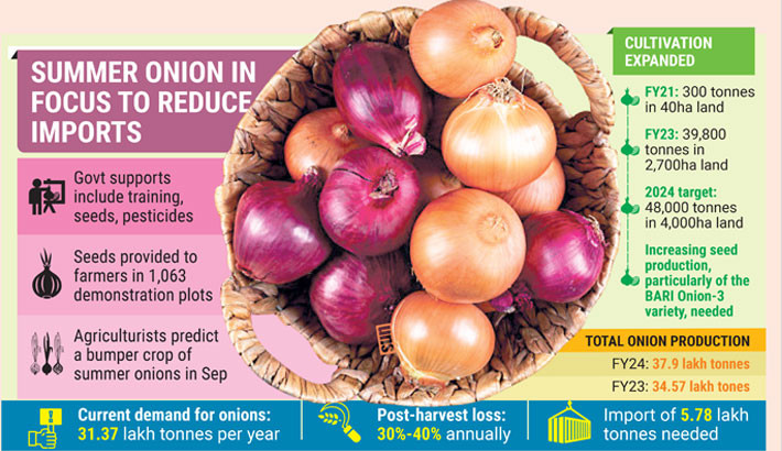 Summer onion cultivation aims to be a golden ticket to self-sufficiency
