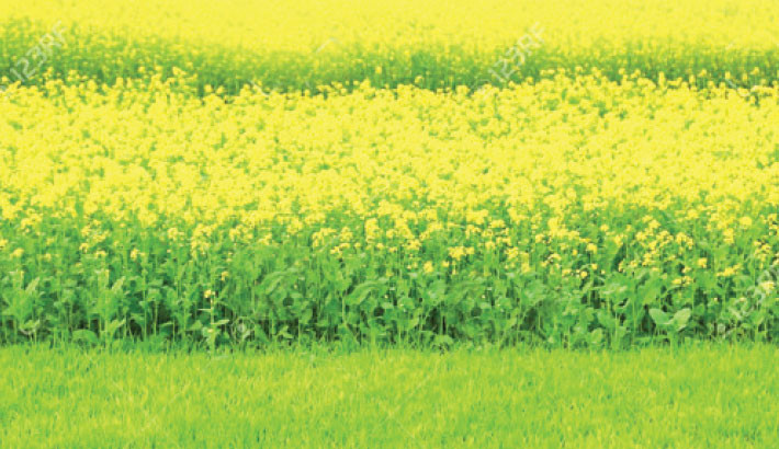 Farmers reap dual rewards