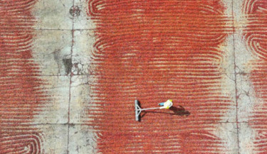 Better than gold: How Ecuador cashed in on surging cocoa prices