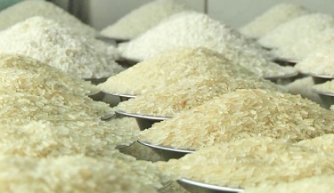 Rice prices to stabilise soon amid strong reserves: Food adviser