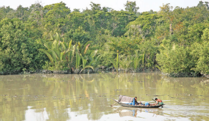 Tranquil high tides put Sundarbans’ wildlife at risk