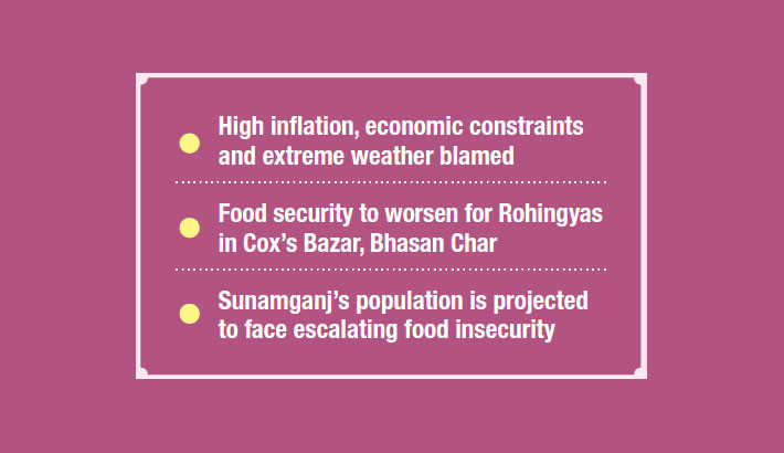 16m at risk of severe food insecurity in Bangladesh: IFPRI