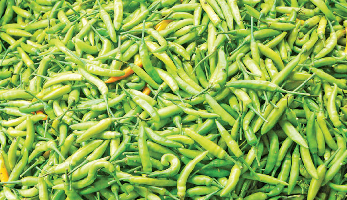 Green chilli price soars to Tk400/kg amid relentless rainfall