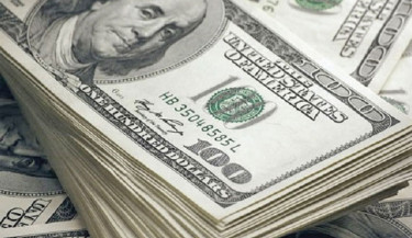 Reforms, higher incentives push remittances to record $30.32b