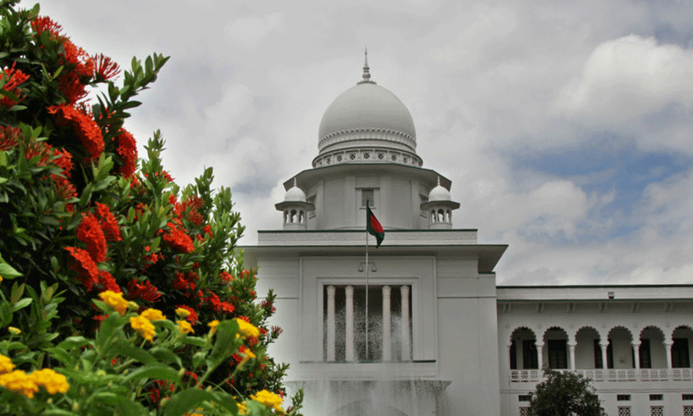 HC issues rule on declaring Abu Sayeed, Mugdha as national heroes