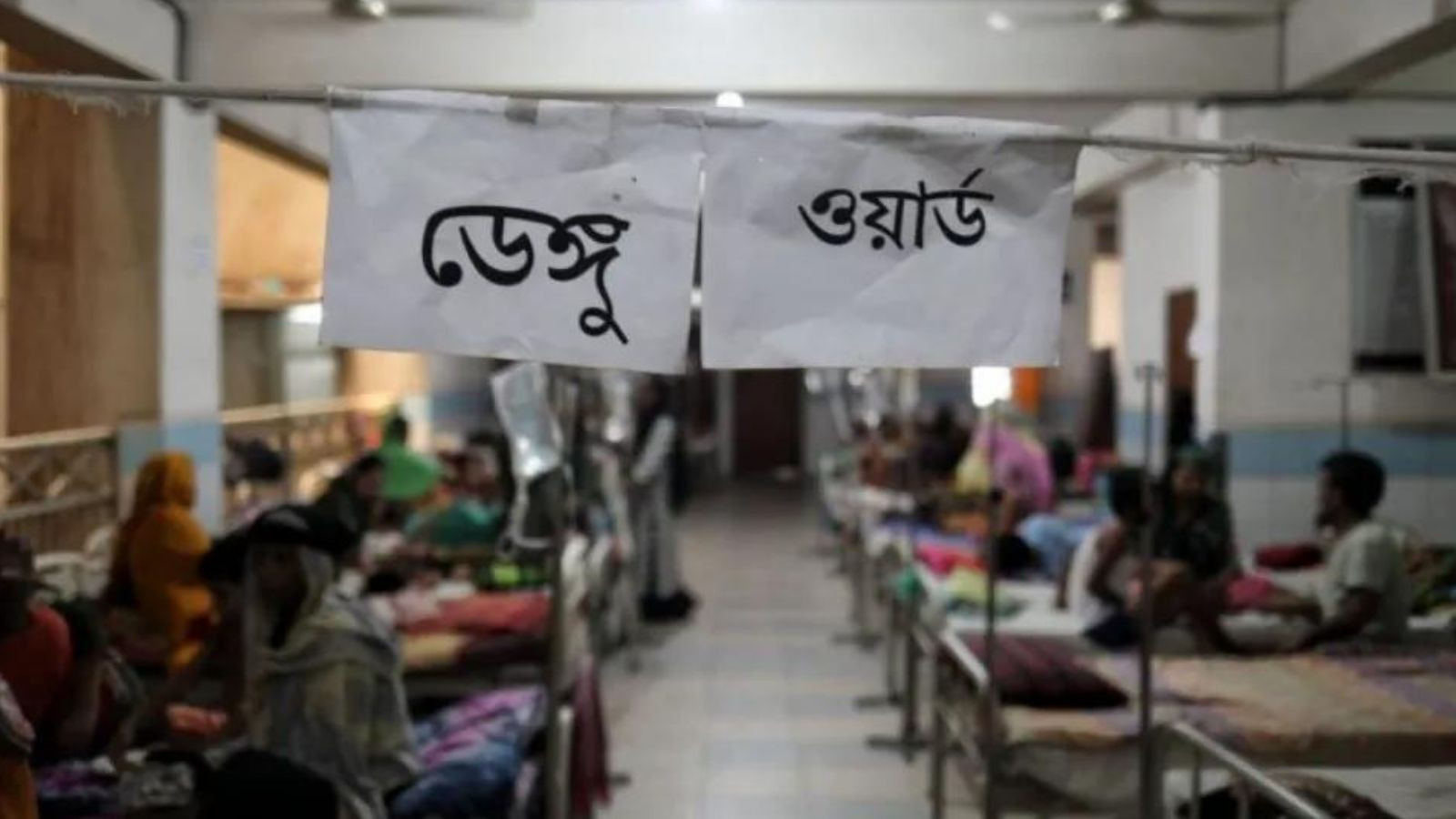 Dengue: 2 more die, 330 hospitalised in 24hrs