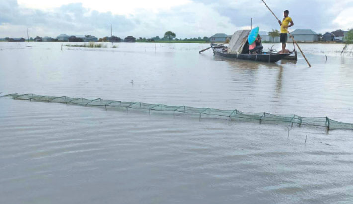 Incessant rain maroons hundreds of families in Bhabadaha area of Jashore