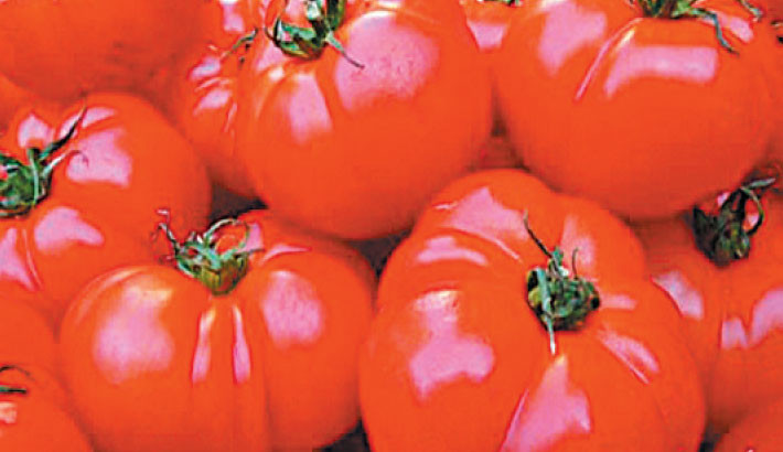 US imposes 17% duty on most Mexican fresh tomatoes