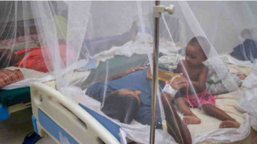 Dengue claims 2 more lives; 321 hospitalised in 24hrs