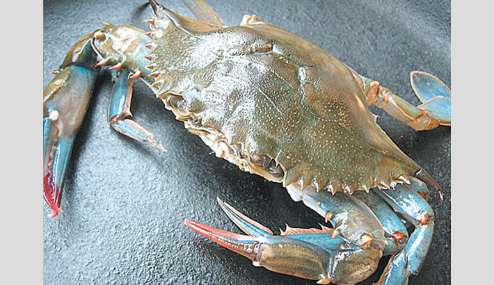 Satkhira’s soft-shell crab attracts global market