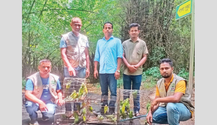 The Wildlife Crime Control Unit rescues 61 birds and two turtles during a raid at Mirpur-1 bird market in the capital on Friday and releases them into the National Botanical Garden. -PID Photo