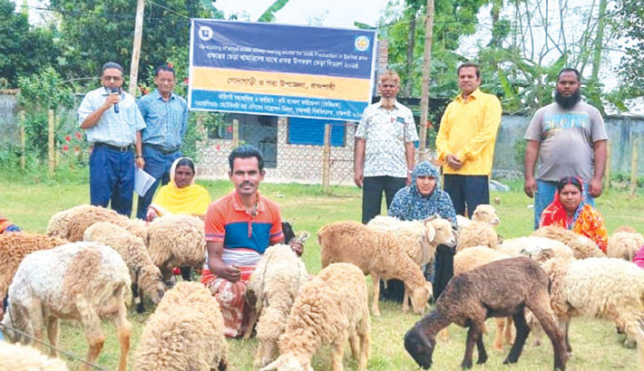 Modern livestock initiatives boost food security, employment in Rajshahi