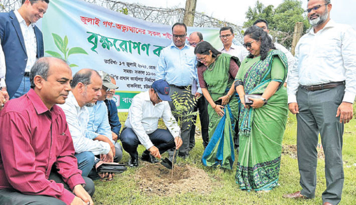 BPC organises tree plantation in memory of July uprising martyrs