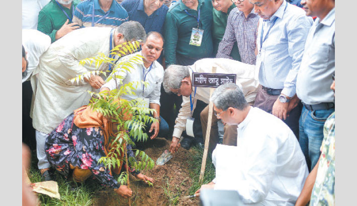 BNP Secretary General Mirza Fakhrul Islam Alamgir plants a neem sapling at Zia Udyan in the capital on Sunday, commemorating the martyrs of the July Uprising. -Daily sun Photo
