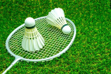 Ad-hoc committee president resigns from badminton federation