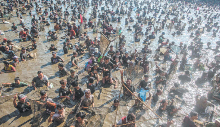 People use nets to catch about 2 tonnes of fish released for free by municipal workers during Memed Ikan, an annual traditional fish-catching festival held to give thanks to God for the abundance of fish harvests, at the Gemblegan Reservoir in Klaten, Central Java, Indonesia on Sunday. AFP PHOTO