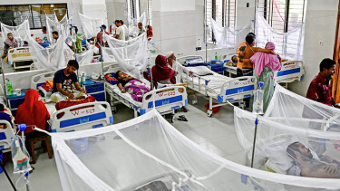 Dengue claims 3 more lives