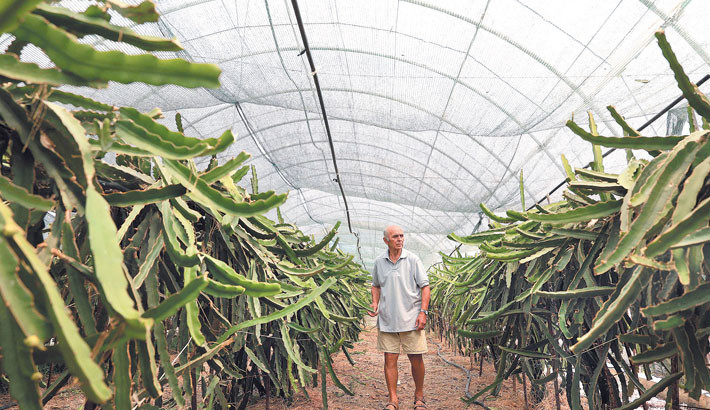 ‘Garden of Eden’: Albania looks to grow exotic fruits for export to Europe
