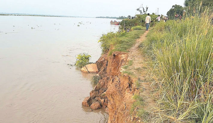 Padma erosion turns grim in Rajbari