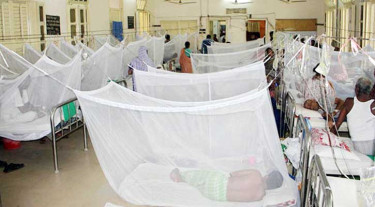 Dengue: 164 infected in 24 hrs; no new death reported