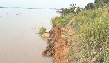Padma erosion turns grim in Rajbari