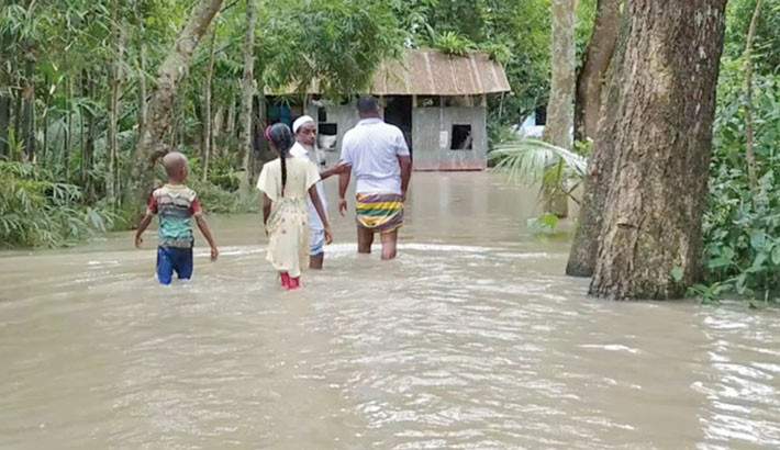 Coastal areas in Chandpur flooded as Meghna swells