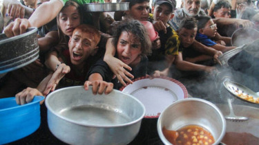 ‘We are dying’: Palestinians slam world’s inaction as hunger ravages Gaza