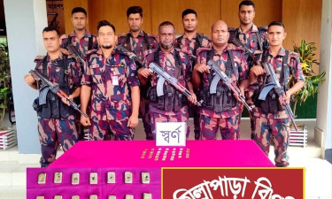 Gold of Tk6 crore seized at Jhenaidah border