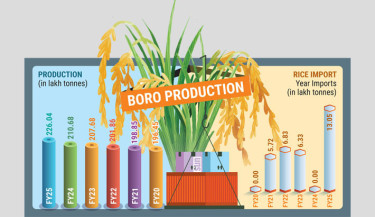 Record harvest, big imports – yet rice prices jump 11%-16% YoY