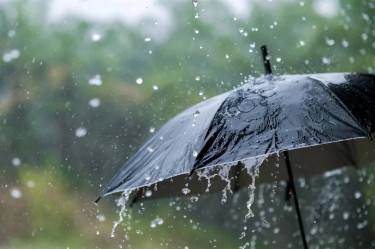 Incessant rains throw life out of gear in Dhaka