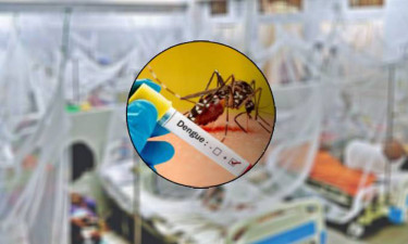Dengue claims 2 more lives; 394 hospitalised in 24hrs