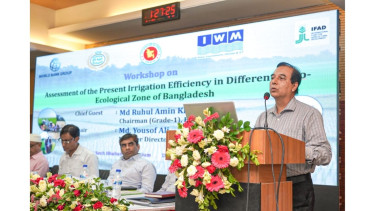 Region-specific planning crucial to boost irrigation efficiency: BADC Chairman
