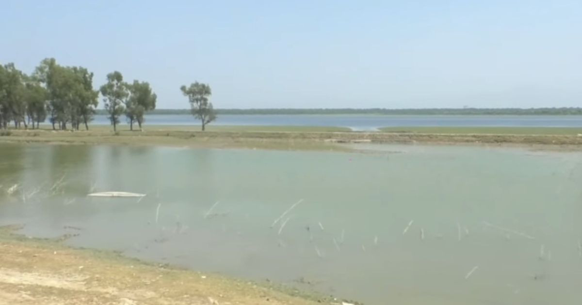 Shattered lives: How Rohingya crisis steals sea from Teknaf’s fishermen