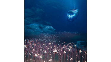 'Communities' of strange, extreme life seen for first time in deep ocean