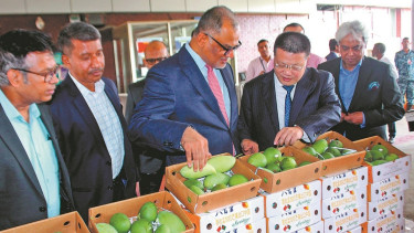 Mangoes sweeten trade ties between China, Bangladesh