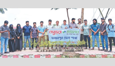Tree plantation drive launched in Jamalpur