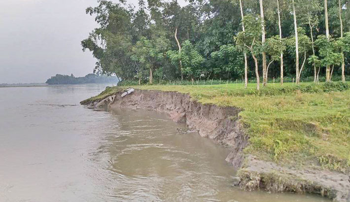 Fear grips Nilphamari residents as erosion by Teesta, Dharla turns grim