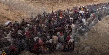 As Witkoff visited Gaza, 36 including a 12-year-old boy killed while seeking aid