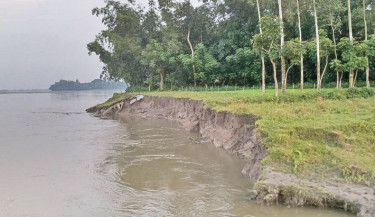Fear grips Nilphamari residents as erosion by Teesta, Dharla turns grim