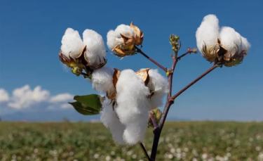 Additional tariff exemption on US raw materials