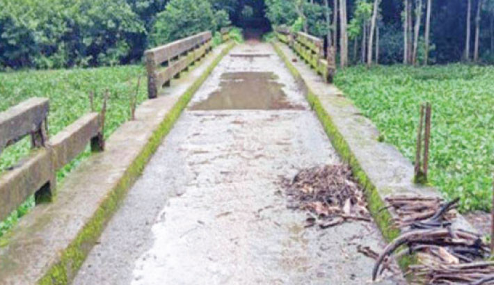 Miscreants stealing iron rods from bridge railings in Manirampur