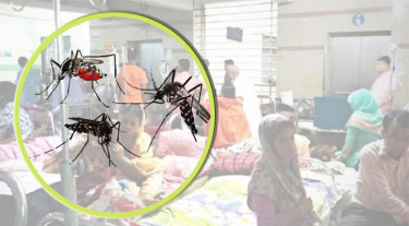 Two more dengue deaths reported in 24hrs