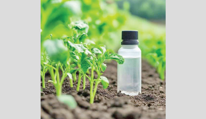 BAU researchers develop eco-friendly fungicide to boost food production
