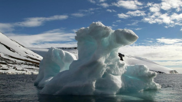 Russia, US can successfully cooperate in Arctic, Putin's envoy believes