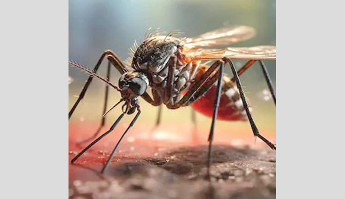 China reports 7,000 cases of chikungunya virus