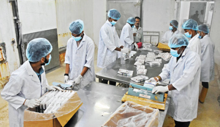 Chattogram’s fish exports rebound with 7.21% growth in FY25