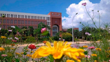 China vows hassle-free healthcare for Bangladeshi patients in Yunnan