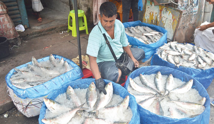 Hilsa becomes dearer to Khulna’s common people